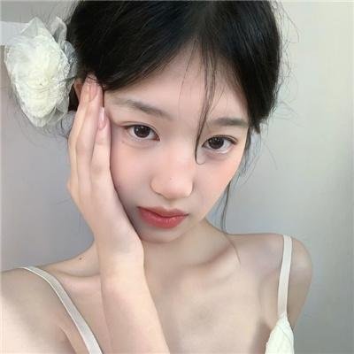 粉红火鹤