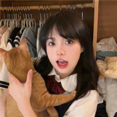 布里斯比熊